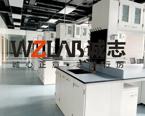 農藥廠房實驗室整體建設