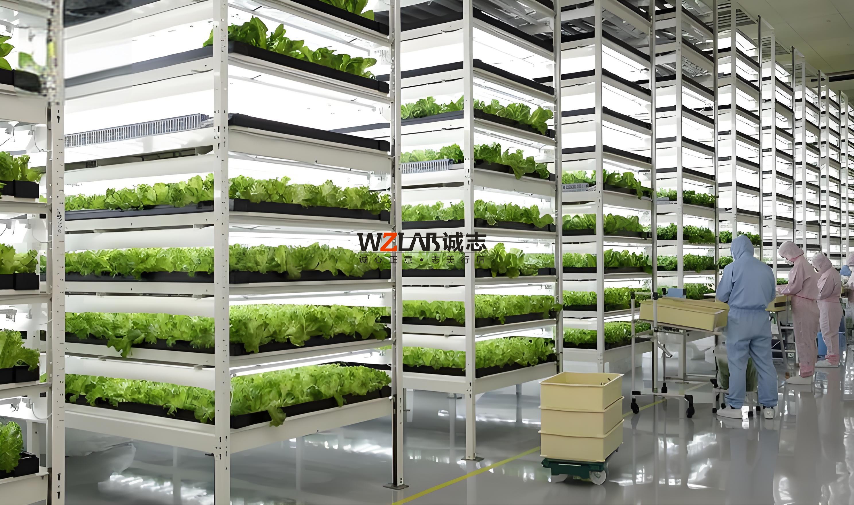 無土栽培實驗室設計方案