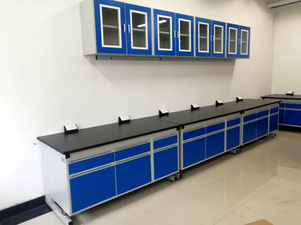 實(shí)驗(yàn)臺(tái)項(xiàng)目 實(shí)驗(yàn)臺(tái)項(xiàng)目