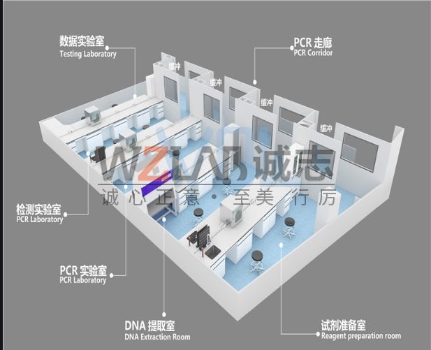 PCR實驗室設計的7大注意事項