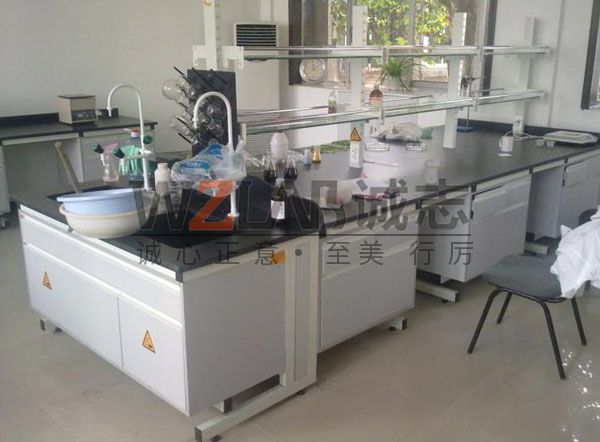 定制全套實(shí)驗(yàn)室家具有什么優(yōu)勢(shì)?(圖1) 全鋼實(shí)驗(yàn)臺(tái)1.jpg