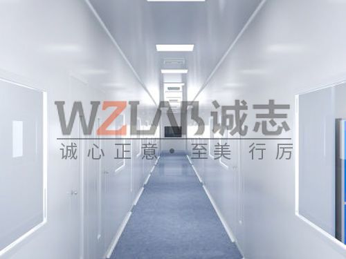 潔凈實驗室有哪些?