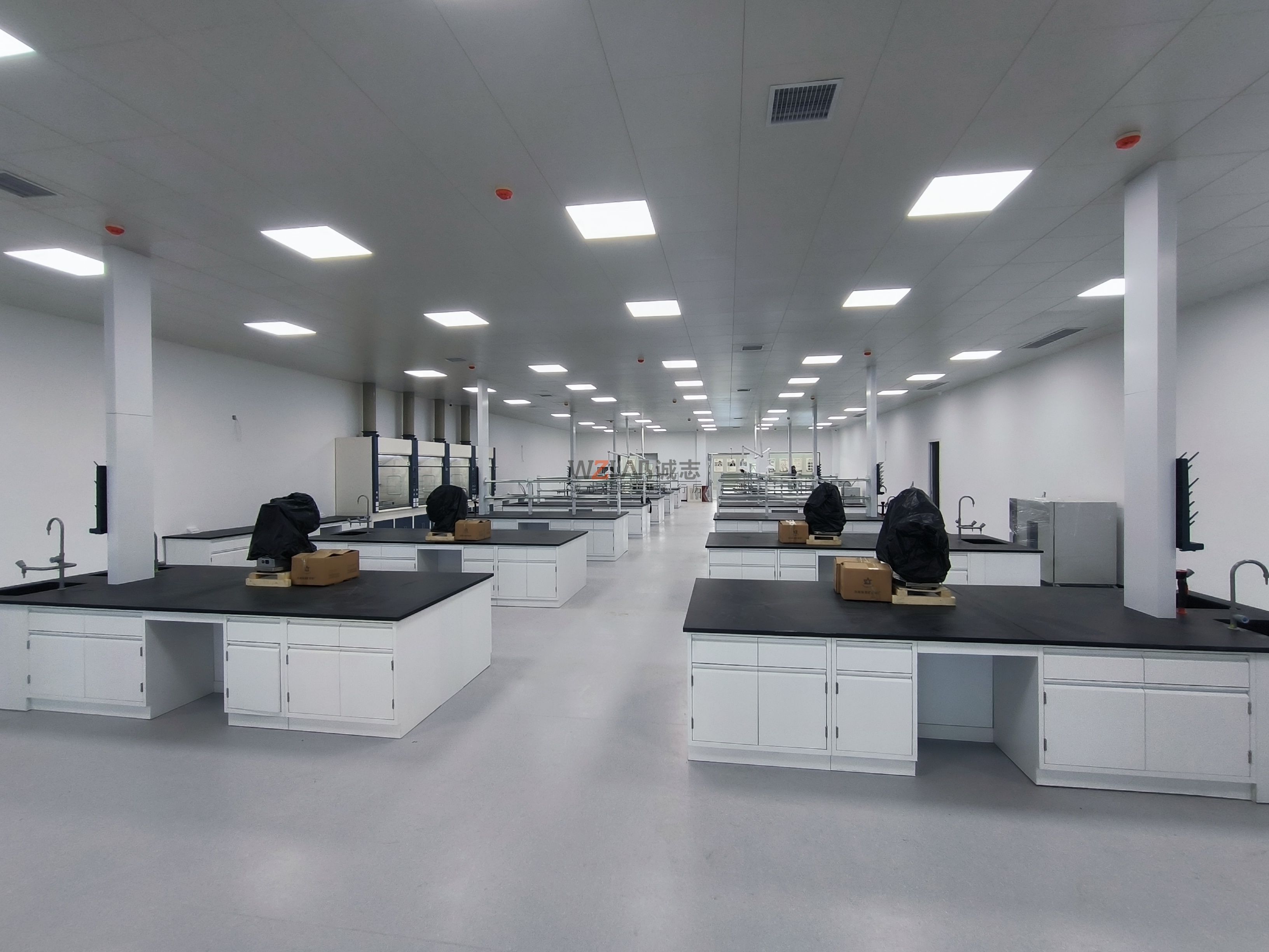 實驗室分為哪些功能區域?